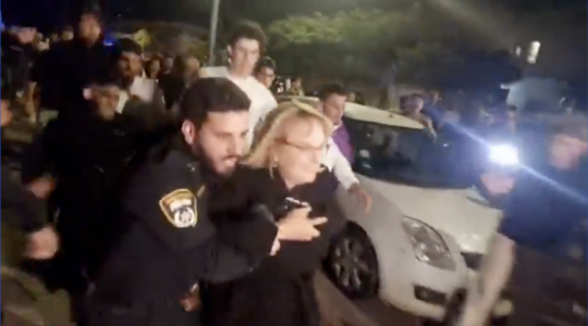 A woman is escorted by police officers away from a group of protesters at an Israeli-Palestinian memorial event at a Reform synagogue in Raanana, Israel on April 29, 2025. (Screenshot)